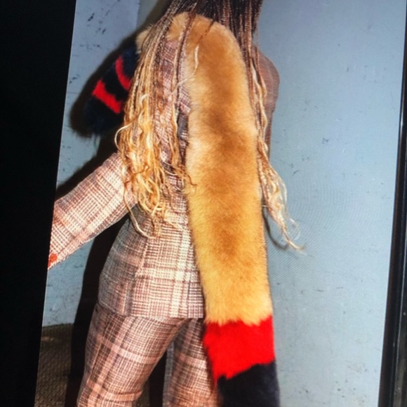 FOX - Picture 7 of 16